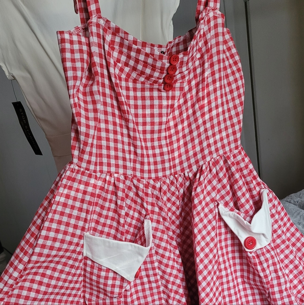 Iconic Pin Up Dress Red Gingham NWT Medium Full Circle Skirt With Pockets